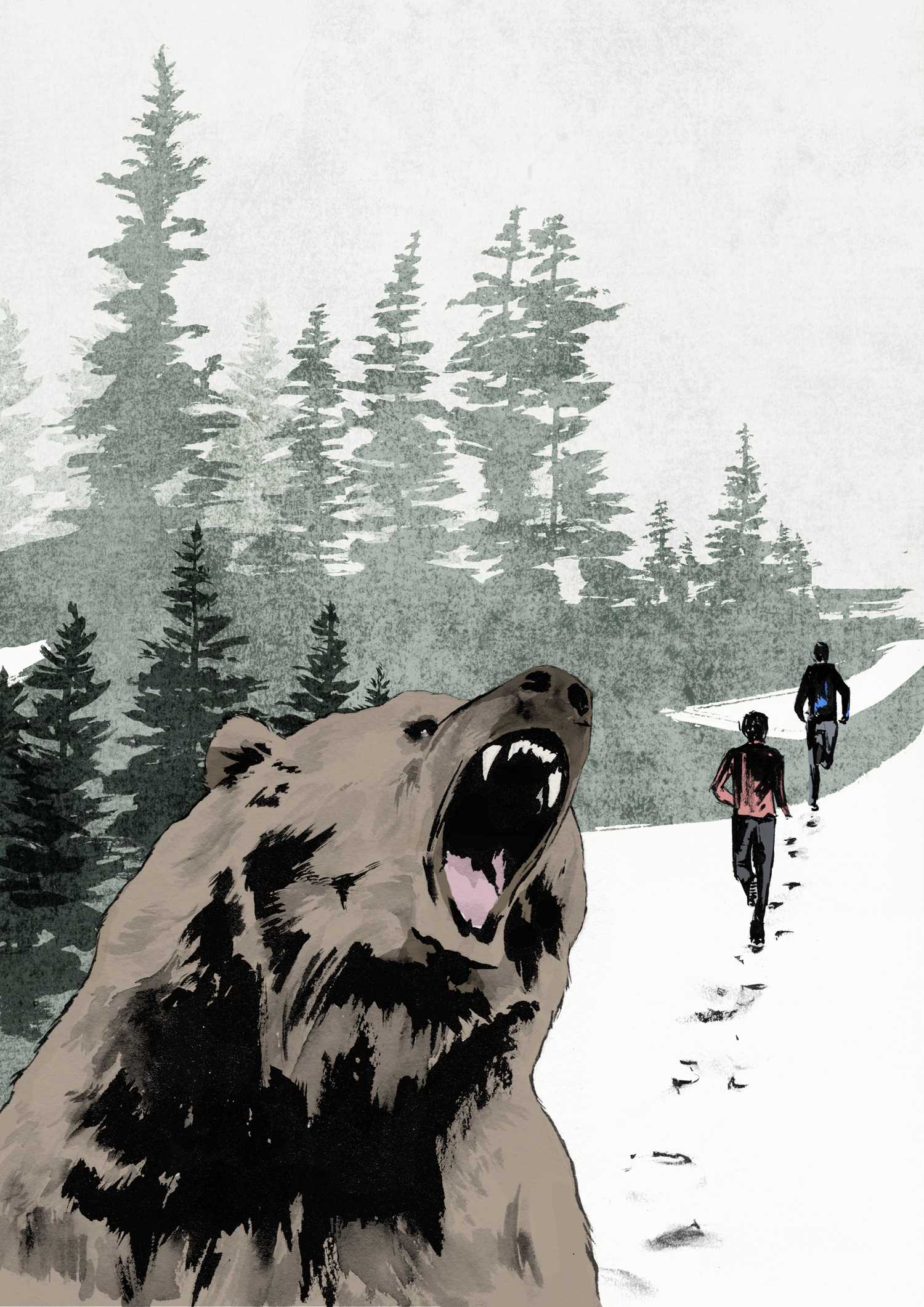 Grizzly Bear - Climb Magazine image