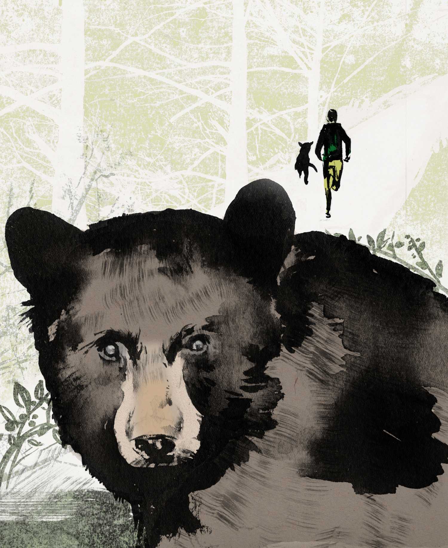 Bear - Trailrunner magazine image